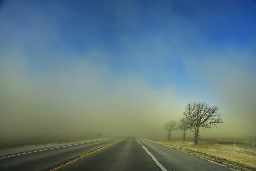 The Day in Photos – February 10, 2016