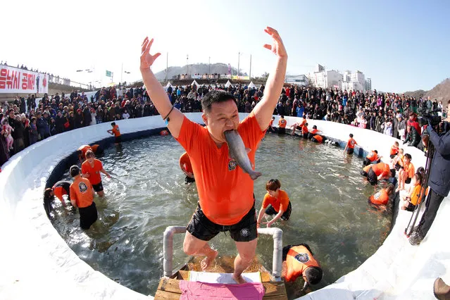A festival visitor celebrates after attending bare hand fishing in a frozen river during the Hwacheon Sancheoneo Ice Festival at Hwacheon-gun in Gangwon province, South Korea, 05 January 2019. The festival runs under the slogan “Unfrozen Hearts, Unforgettable Memories” from 05 to 27 January 2019. (Photo by Jeon Heon-Kyun/EPA/EFE)