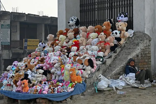A vendor selling stuffed toys, waits for customers along the roadside in Rawalpindi on January 4, 2024. (Photo by Aamir Qureshi/AFP Photo)