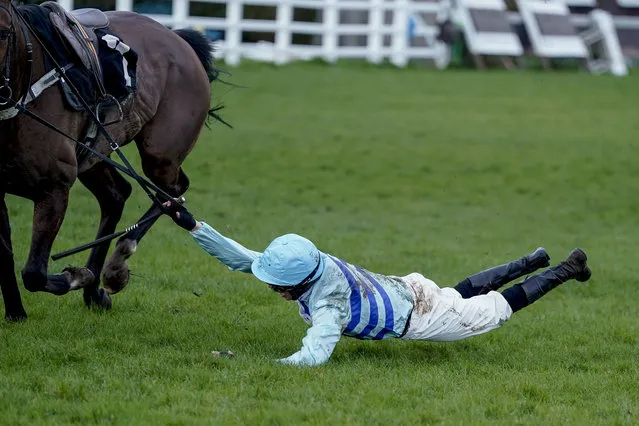 Jockey Chad Bament riding Windance fall at the last when clear during The Dine&Stay At The Jolly Sportsman Amateur Jockeys' Handicap Chase at Plumpton Racecourse on February 26, 2024 in Plumpton, England. (Photo by Alan Crowhurst/Getty Images)