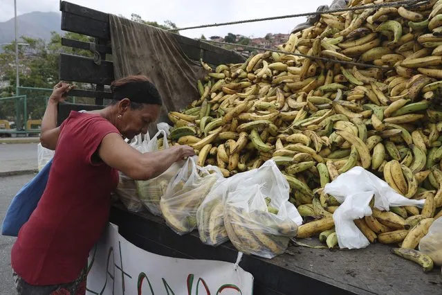 A woman inspects a bunch of bananas as she shops for the best option, in Caracas, Venezuela, Wednesday, May 8, 2019. Venezuela has been in sharp decline for years, suffering from hyperinflation and shortages of food and medicine. (Photo by Martin Mejia/AP Photo)