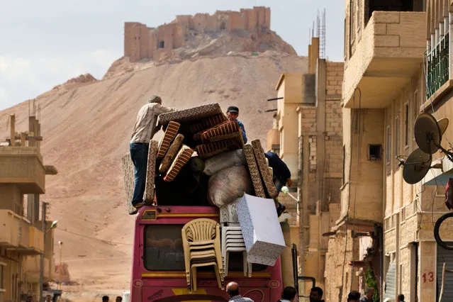 In this picture taken Thursday, April 14, 2016, the Palmyra citadel is seen in the background as Syrian families load their belongings onto a bus in the town of Palmyra in the central Homs province, Syria. Thousands of residents of this ancient town who fled Islamic State rule are returning briefly to check on their homes and salvage what they can – some carpets, blankets, a fridge or a few family mementos. There is no water or electricity in the town, and it will be at least few months before anyone can return to stay. (Photo by Hassan Ammar/AP Photo)
