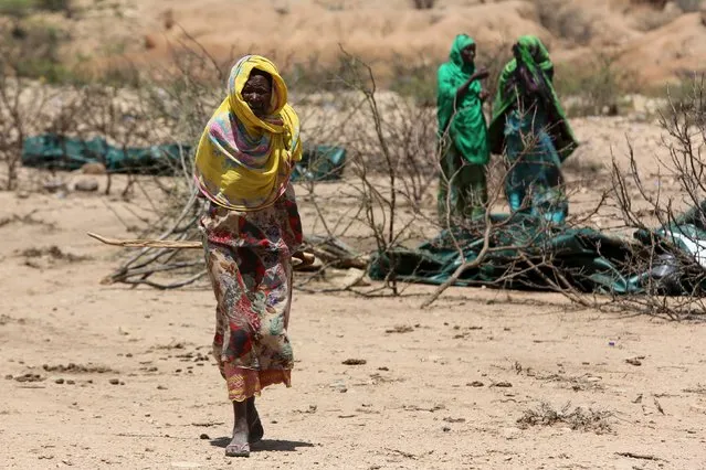 An internally displaced woman walks through a camp on the outskirts of the town of Qol Ujeed, on the border with Ethiopia, Somaliland April 17, 2016. (Photo by Siegfried Modola/Reuters)