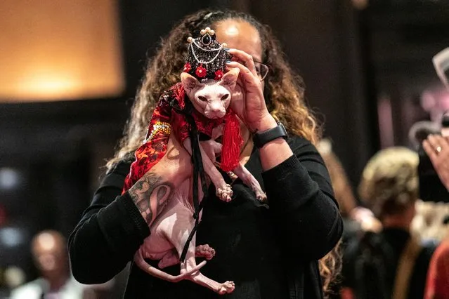 Wasabi wears a traditional Chinese outfit and takes part on the runaway during the Algonquin Hotel’s Annual Cat Fashion Show in the Manhattan borough of New York City, New York, U.S., August 1, 2019. (Photo by Jeenah Moon/Reuters)