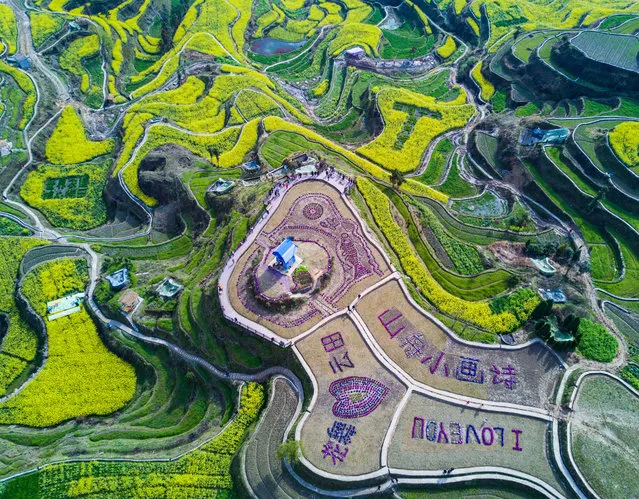 Photo taken on March 26, 2017 shows aerial view of cole flowers in the terraced fields on a mountain in Xiaozhoushan Township of Qingtian County, east China's Zhejiang Province. (Photo by Xu Yu/Xinhua/Barcroft Images)