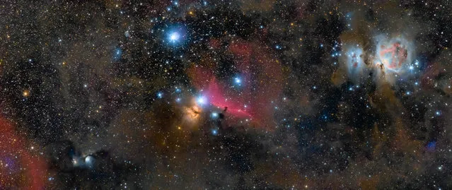 The Jewels of Orion, by Ross Clark. Winner: Best Newcomer. (Photo by Ross Clark/Astronomy Photographer of the Year)