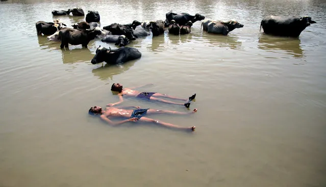Indian children take a bath along with buffalos on a hot afternoon in the Tawi River on the outskirts of Jammu, the winter capital of Kashmir, India, 27 April 2017. According to media reports, India continues to experience scorching heat as temperatures across much of the country have already breached the 40-degree Celsius mark. (Photo by Jaipal Singh/EPA)