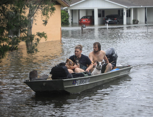 Residents and their pets evacuate Magnolia Avenue after Hurricane Milton flooded the neighborhood in South Daytona, Florida, on October 10, 2024. (Photo by Zomorodian/Daytona Beach News-Journal/USA TODAY Network via Reuters)