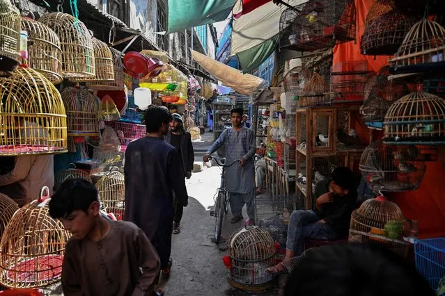 People walk through the Ka Faroshi bird market in Kabul on July 16, 2022. (Photo by Lillian Suwanrumpha/AFP Photo)