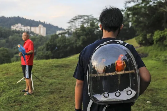 A man (R) with his bag contain Harley Quinn macaw arrives for free fly session in Kuala Lumpur, Malaysia, 10 April 2022. (Photo by Fazry Ismail/EPA/EFE)