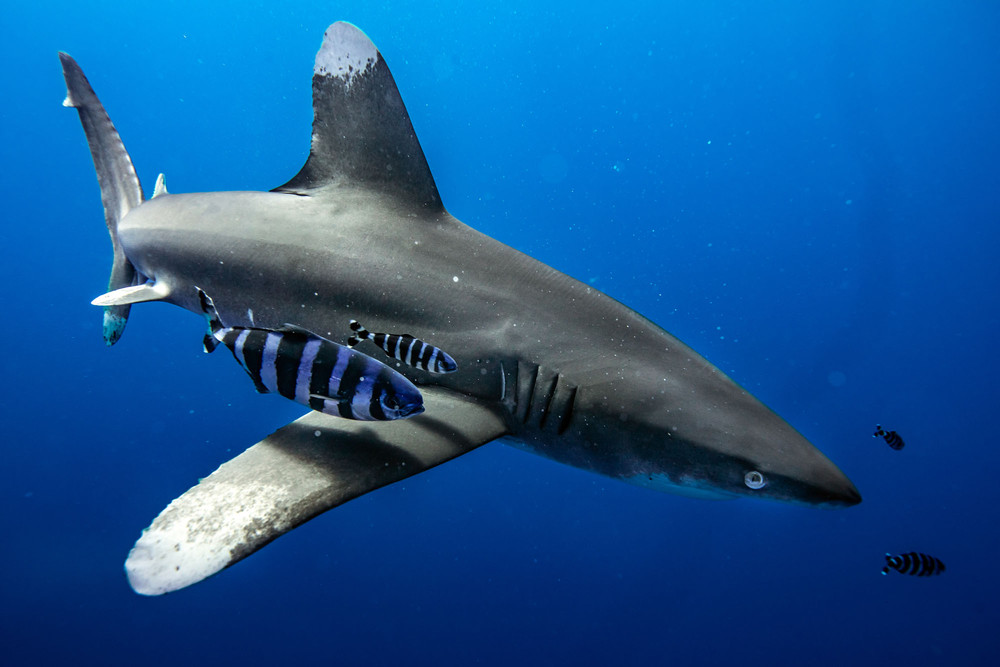 Some Photos: Waterworld