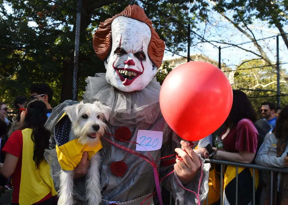 Halloween Dog Parade 2017