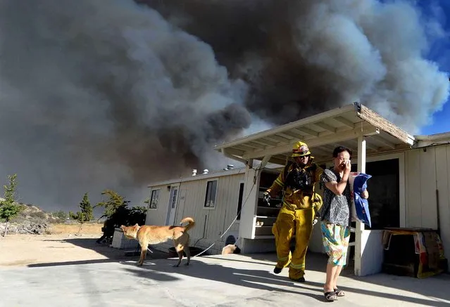 San Bernardino County Firefighter/Engineer/Paramedic Jeremy Pendergraft helps a couple evacuate out of their home as she cries off of Hess Rd. as a wildfire off of Hwy 138 quickly approaches in San Bernardino, Calif., Tuesday August 16, 2016. Eric Sherwin of the San Bernardino County Fire Department says the blaze that began in the Cajon Pass continues to race in several directions. It has topped ridges in the San Bernardino Mountains and is closing in on high desert communities on the other side. (Photo by Will Lester/The Inland Valley Daily Bulletin via AP Photo)
