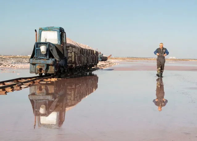 A train drives across the bed of a drained area of a lake used for the production of salt at the Sasyk-Sivash lake near the city of Yevpatoria, Crimea, November 14, 2017. A saltwater lagoon known as Lake Sasyk-Sivash on Ukraine's Crimea peninsula is the source of a rare resource: pink salt. The mineral is tinted by tiny algae that produce the pigment beta-carotene. Each autumn, seasonal workers collect thousands of tons of pink salt for processing and export. (Photo by Pavel Rebrov/Reuters)