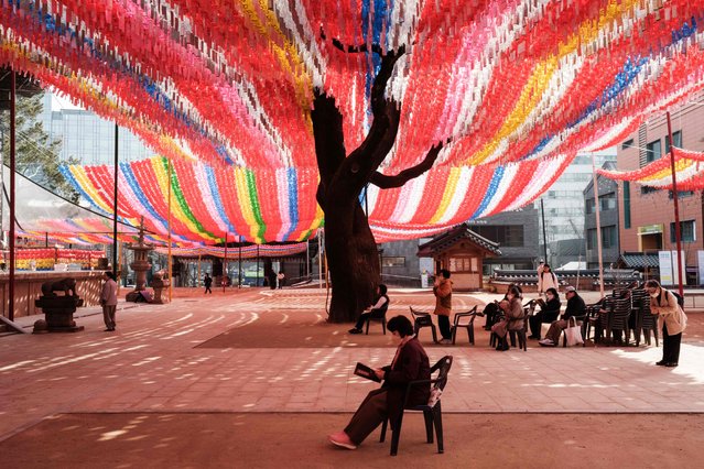 A woman reads a book beneath lanterns hanging overhead at the Jogyesa Temple in Seoul on March 21, 2025, ahead of the Lotus Lantern Festival in May, which celebrates Buddha's birthday. (Photo by Yasuyoshi Chiba/AFP Photo)