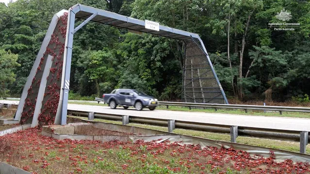 Red crabs climb a bridge over the road while crossing a street as part of their annual migration, on Christmas Island, Australia, in this screen grab obtained from an undated handout video received by Reuters on November 14, 2022. (Photo by Parks Australia/Handout via Reuters)