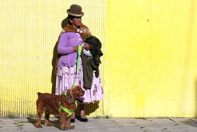 A woman and her dog wait to take part in a dog-a-thon, as part of Bolivia's bicentennial celebrations and to raise awareness about care and respect for pets, in La Paz, Bolivia, Sunday, April 13, 2025. (Photo by Juan Karita/AP Photo)