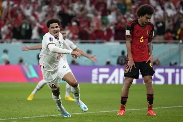 Morocco's Zakaria Aboukhlal celebrates his side's second goal besides Belgium's Axel Witsel during the World Cup group F soccer match between Belgium and Morocco, at the Al Thumama Stadium in Doha, Qatar, Sunday, November 27, 2022. (Photo by Christophe Ena/AP Photo)