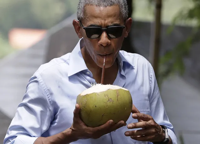 U.S. President Barack Obama drinks from a fresh coconut along the banks of the Mekong River in the Luang Prabang, Laos, Wednesday, September 7, 2016. (Photo by Carolyn Kaster/AP Photo)