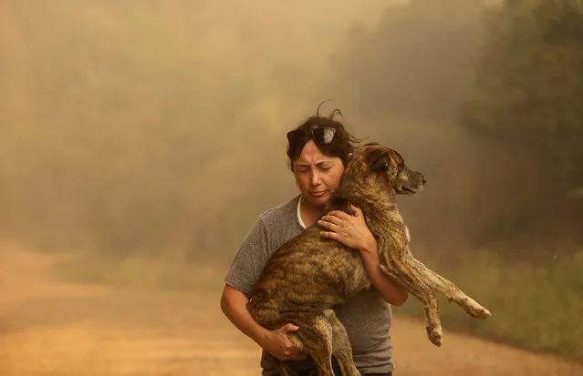 A local resident carries a dog as a wildfire burns parts of rural areas around Santa Juana, Chile on December 30, 2022. (Photo by Juan Gonzalez/Reuters)