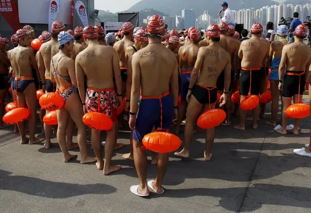 Swimmers attached to buoys printed with numbers get ready to compete in a cross harbour swimming event at Hong Kong's Victoria Harbour, China, October 18, 2015. About 2,500 people took part in the event. The race stretches approximately 1.5 km (0.9 miles) from the Sam Ka Tsuen Public Pier to Quarry Bay Park Public Pier, according to the organiser. (Photo by Liau Chung-ren/Reuters)