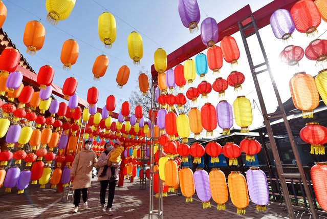 People enjoy lanterns in Zhengding County of Shijiazhuang, Hebei Province, China, 18 January 2023 (issued 19 January 2023). The Spring Festival, or the Chinese New Year, falls this year on 22 January. (Photo by Zhang Xiaofeng/Xinhua/EPA/EFE)