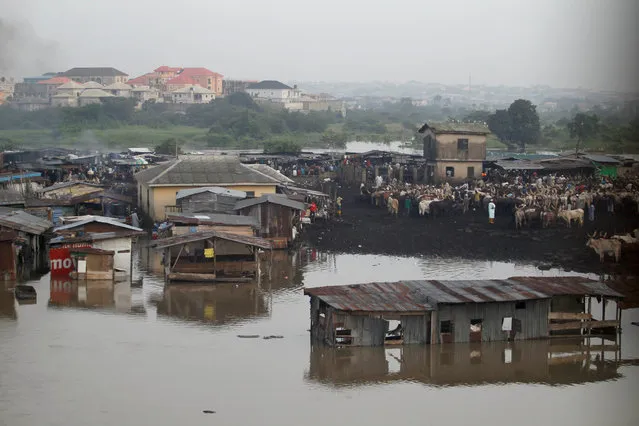 Makeshift stalls are seen submerged along river Ogun as it overflows its bank near a livestock market outside Nigeria's commercial capital Lagos October 6, 2016. (Photo by Akintunde Akinleye/Reuters)