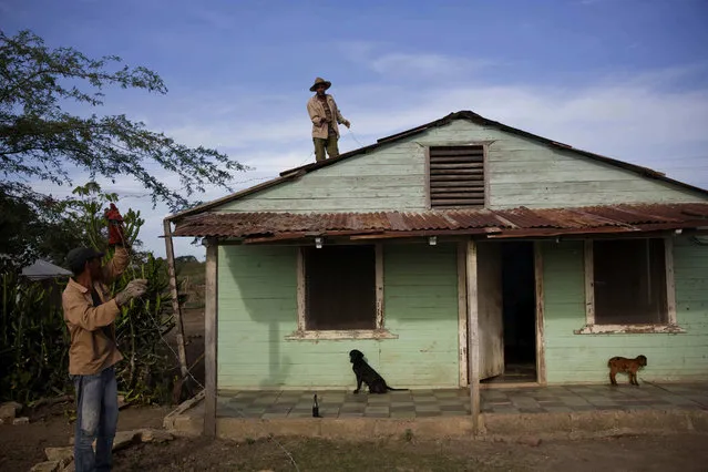 Residents secure the roof of their wooden house prior the arrival of Hurricane Matthew, in the village Paraguay, Guantanamo, Cuba, Monday, October 3, 2016. A hurricane warning is in effect for Jamaica, Haiti, and the Cuban provinces of Guantanamo, Santiago de Cuba, Holguin, Granma and Las Tunas – as well as the southeastern Bahamas. (Photo by Ramon Espinosa/AP Photo)