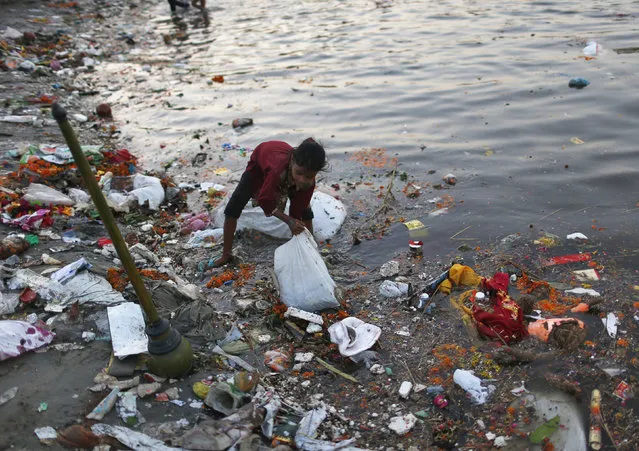 A girls collects items thrown in as offerings by devotees in the waters of the Yamuna river on the last day of the Ganesh Chaturthi festival in New Delhi on September 18, 2013. The idols of the Hindu elephant god Ganesh, the deity of prosperity, are taken through the streets in a procession accompanied by dancing and singing and later immersed in a river or the sea symbolising a ritual seeing-off of his journey towards his abode, taking away with him the misfortunes of all mankind. (Photo by Ahmad Masood/Reuters)