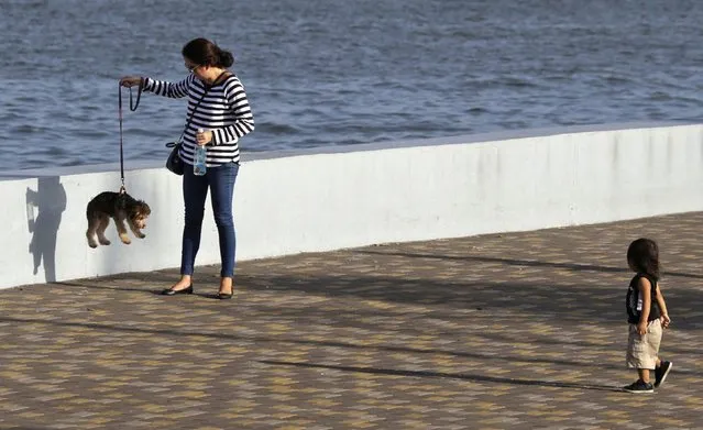 A woman lifts a dog on a leash along the seafront in Panama City January 6, 2015. (Photo by Carlos Jasso/Reuters)