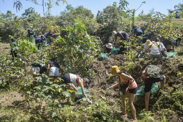 A group of environmental activists clean and replant an illegal dump site during Earth Day in Tabanan, Bali, Indonesia, 22 April 2023. World Earth Day is marked annually on 22 April, a date created by the United Nations to raise awareness among the population about the values of biodiversity conservation and the problem of pollution. (Photo by Made Nagi/EPA)