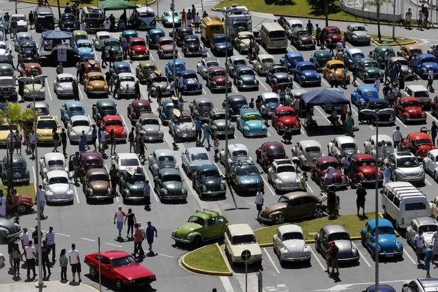 People attend a Volkswagen Beetle owners meeting in Sao Bernardo do Campo January 25, 2015. (Photo by Paulo Whitaker/Reuters)