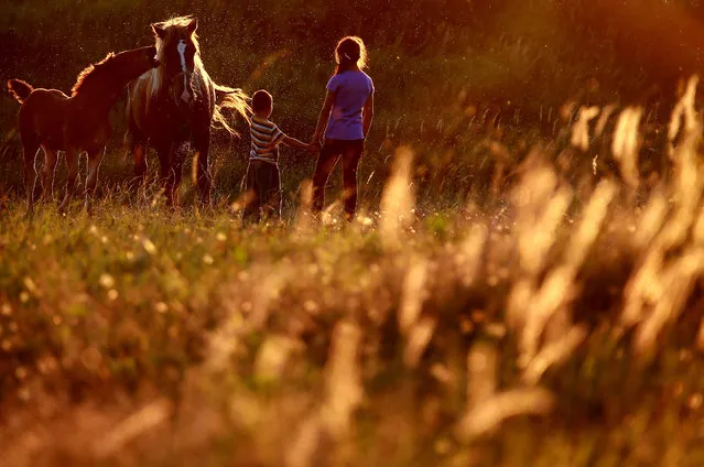 Children with a horse in a field near the village of Lobanovo, Kostroma, Russia on August 17, 2016. (Photo by Vladimir Smirnov/TASS)