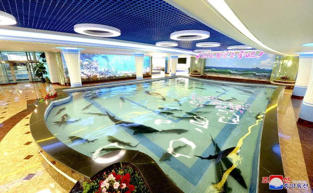 A general view of the Daedong River Fish Market Restaurant in Pyongyang in this undated photo released July 30, 2018. (Photo by KCNA via Reuters)