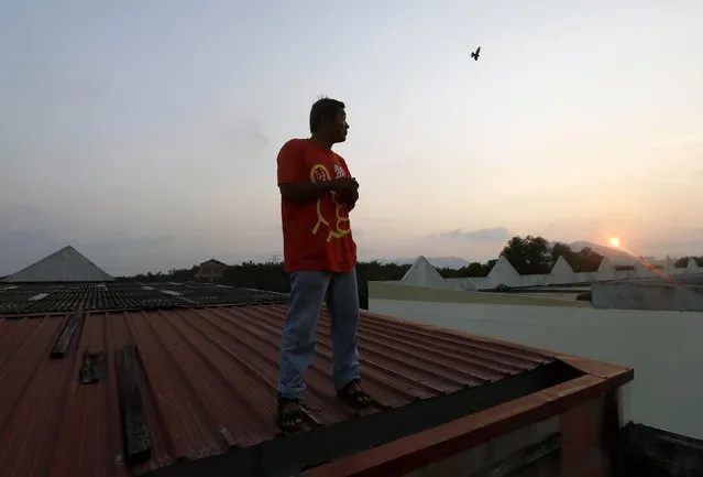 Caretaker Tan Jin Hong looks for swifts on the roof of the Swiftlet Eco Park in Perak, northern Malaysia, February 14, 2015. (Photo by Olivia Harris/Reuters)