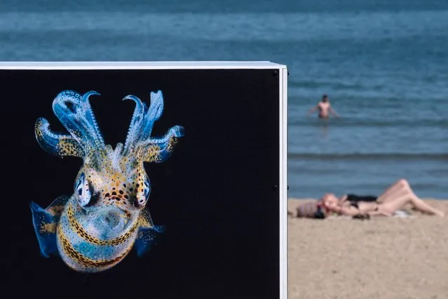 Sunbathers enjoy the beach next to a photograph by Taiwanese Lynn Wu during the photo festival “Women Exhibit” in Houlgate, north-western France, on June 6, 2021. The 4th edition of the photo festival, entirely dedicated to professional women photographers with 14 open-air exhibitions, takes place from June 1 till August 8, 2021. (Photo by Joel Saget/AFP Photo)