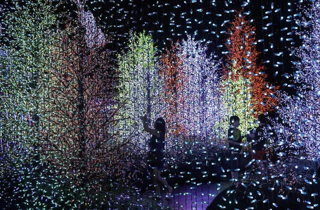 People are silhouetted as they walk through a light installation titled “Universal Journey” comprising of 824,961 light bulbs at the Universal Studios Singapore on Friday, December 23, 2016, as part of celebrations in the lead up to Christmas in Singapore. (Photo by Wong Maye-E/AP Photo)