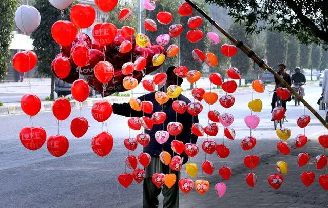 A vendor arranges heart-shaped balloons along the roadside to attract customers ahead of Valentine's Day, in Lahore, Pakistan, Saturday, February 13, 2016. Celebrating Valentine's Day is considered un-Islamic by some in Pakistan, but many still buy flowers and exchange gifts with others. (Photo by K.M. Chaudary/AP Photo)