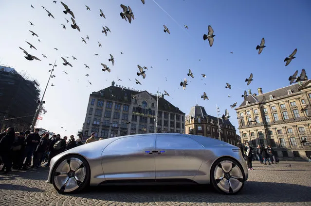 The Mercedes Benz F 015 self-driving stands on March 13, 2016 at the Dam square in Amsterdam. This model is presented for the first time in Europe. (Photo by Bart Maat/AFP Photo/ANP)