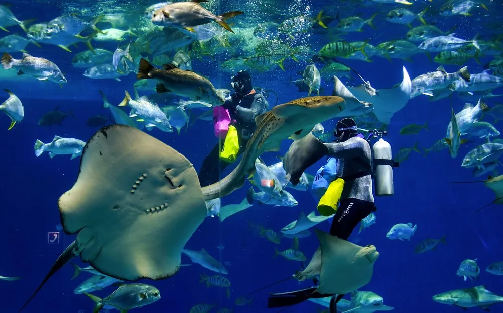 A Look at Life in Russia