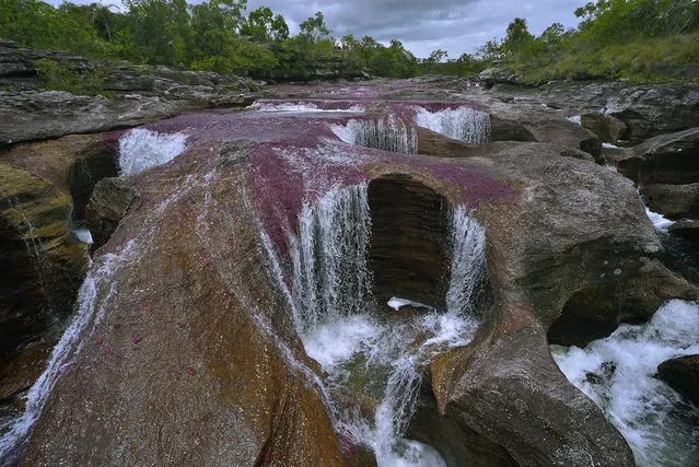 The Cano Cristales River dug these giants kettles baptized Los Ochos in old Precambrian rocks of 1200 million years of the Sierra de la Macarena in Colombia. (Photo by Olivier Grunewald)