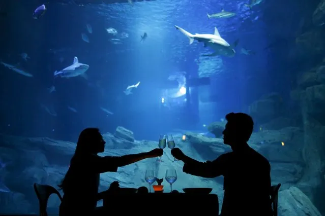 Airbnb contest winners Wu Hao and Tang Di (L) pose as they enjoy a dinner before spending a night among sharks in an underwater structure installed in the Aquarium of Paris, April 13, 2016. (Photo by Charles Platiau/Reuters)