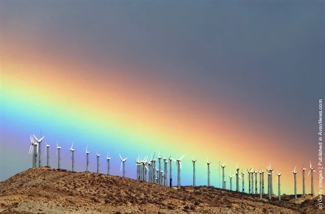 The first storm of the season produces a rainbow behind wind turbines in the San Gorgonio Pass