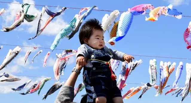 A father holds up his baby under carp streamers fluttering in a riverside park in Sagamihara, suburban Tokyo, on April 29, 2016 ahead of May 5 Children's Day in Japan. 
Some 1,200 carp streamers were hoisted over the Sagami River to celebrate the annual holiday of Children's Day – part of Japan's “Golden Week” holiday which is traditionally one of the busiest travel times of the year. (Photo by Toru Yamanaka/AFP Photo)
