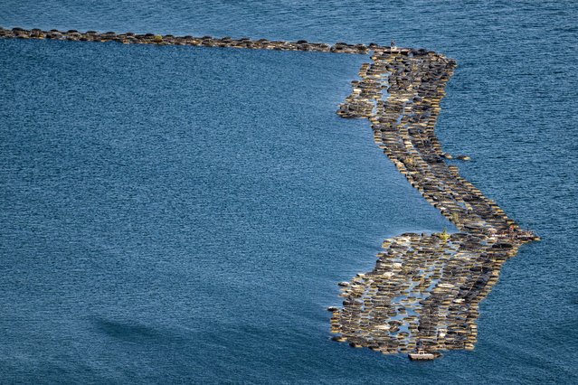 Tires form a breakwater at Lake Mead, which also serves as an artificial reef that attracts fish and provides angling opportunities in Boulder City, Nevada, on June 8, 2024. (Photo by Jim Watson/AFP Photo)