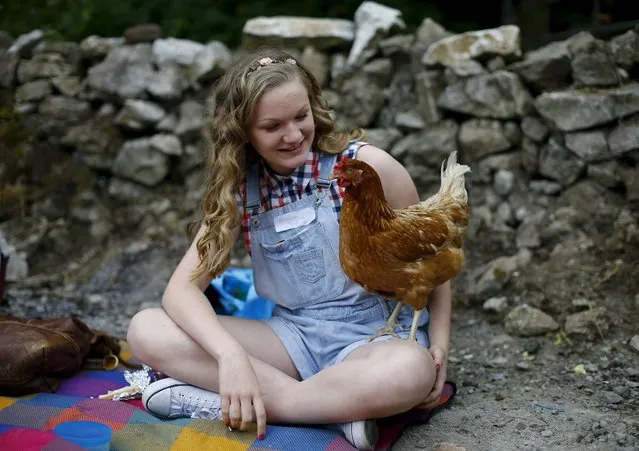 Charlotte Gibson age 14 waits to race her hen Blossom during the World Championship Hen Racing Championships in Bonsall, Britain August 1, 2015. (Photo by Darren Staples/Reuters)