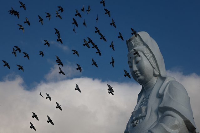 Pigeons fly past a statue of Guanyin, a deity venerated in Buddhism at a temple in Keelung, Taiwan on October 14, 2024. (Photo by Tyrone Siu/Reuters)