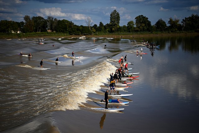 People ride a Mascaret wave (tidal bore) on surfboards and paddleboards in Saint-Pardon along the Dordogne river, south-western France on September 18, 2024. The Mascaret is a tidal phenomenon in which the leading edge of the incoming tide forms a wave of water that travels up a river or narrow bay. (Photo by Christophe Archambault/AFP Photo)