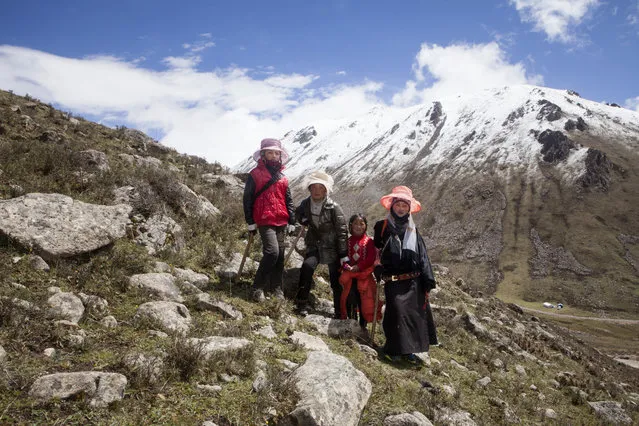 Tibetan women  pose for a portrait on the mountains in the surroundings of Xiaosumang Township, during the harvest of the prized Caterpillar Fungus on May 31, 2016. (Photo by Giulia Marchi/The Washington Post)