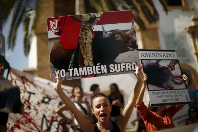 Anti-bullfighting protesters shout slogans during an anti-bullfighting protest before the start of a bullfight in downtown Ronda, near Malaga, southern Spain, September 6, 2015. The banners read: “I also suffer” (L) and “Murdered. We can avoid it, position yourself and act. Abolition”. (Photo by Jon Nazca/Reuters)